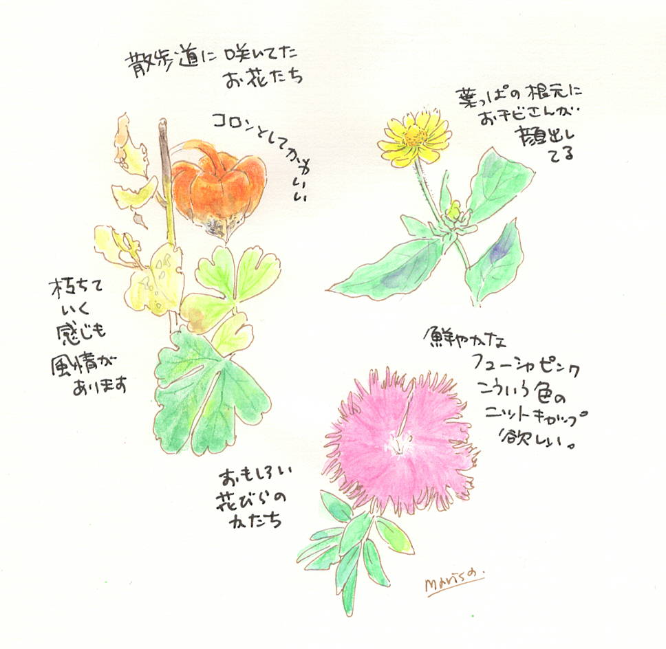 野外スケッチで描いた植物と花のイラスト