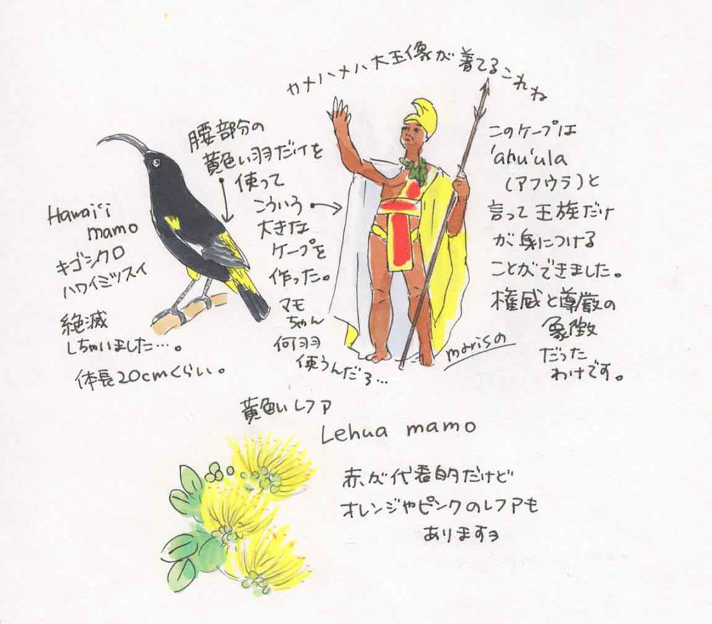 カメハメハ大王と黄色いレフアのイラスト