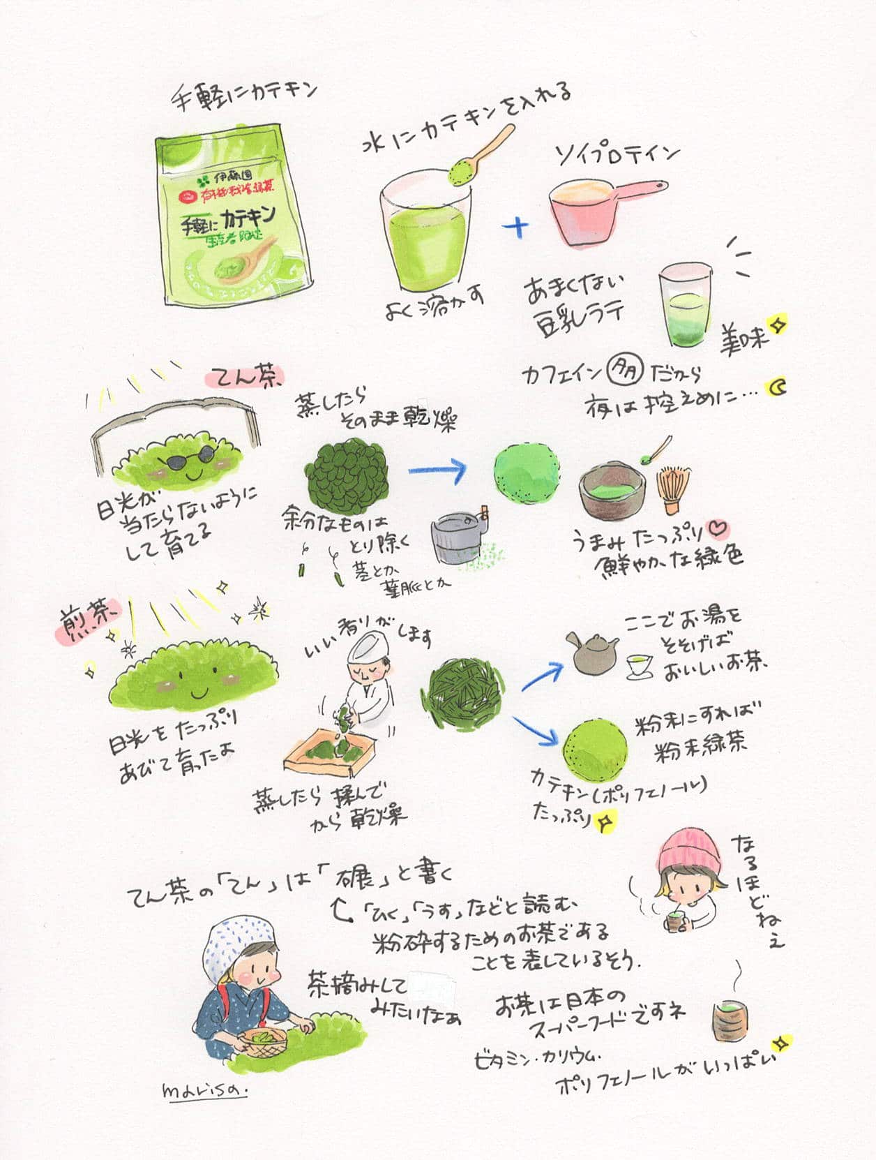 プロテインを美味しく飲もう研究 その2 アトリエ Mili Naea