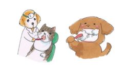 犬と猫の歯磨きのイラスト